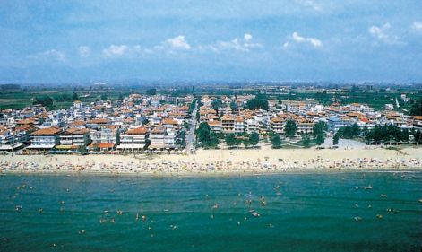 olympic_beach_4.jpg
